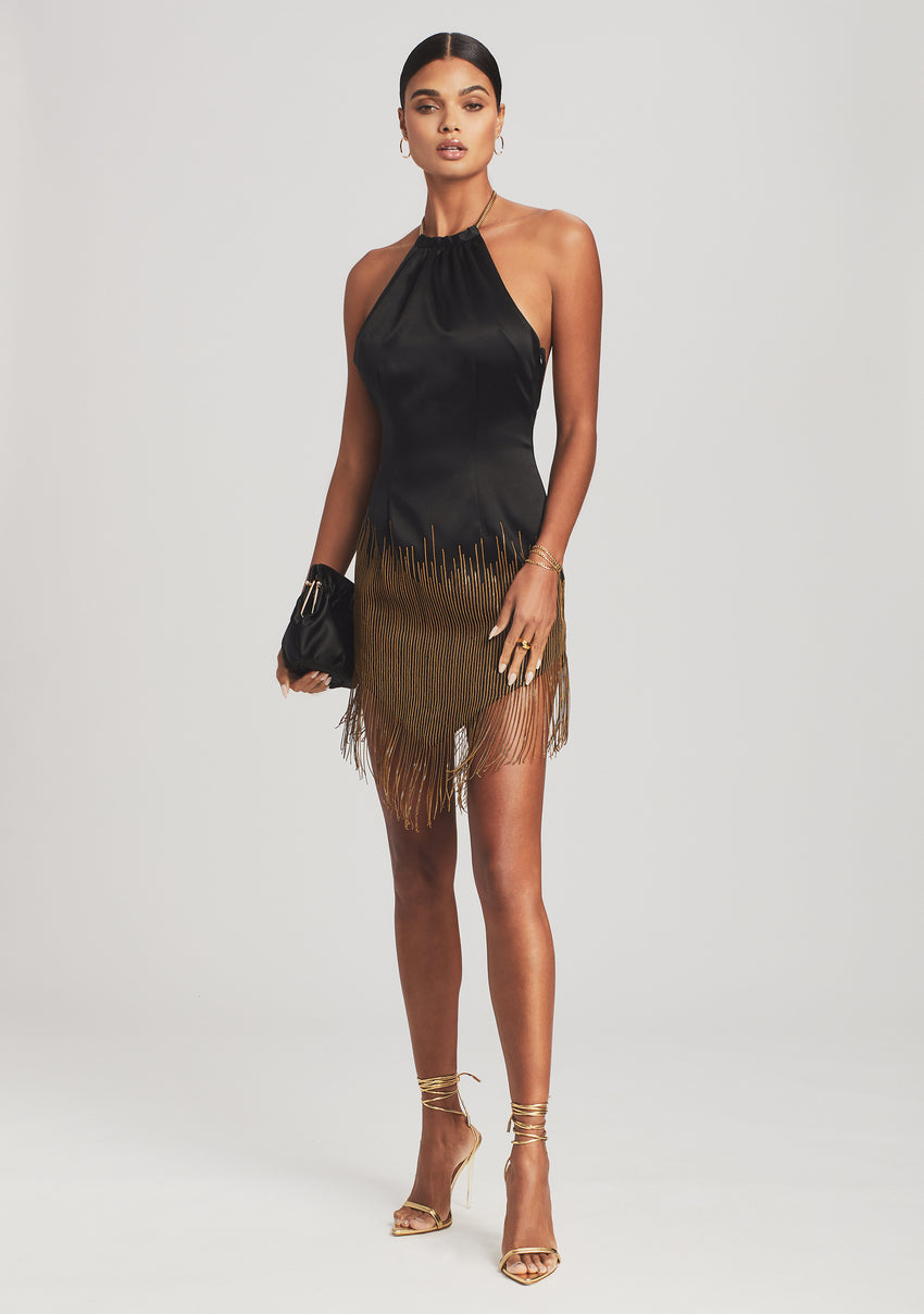 Eos Embellished Fringe Dress