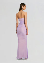 Quintessa Mesh Dress