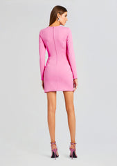 Ariel Long Sleeve Mini Dress