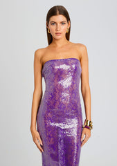 Lucia Sequin Lace Dress