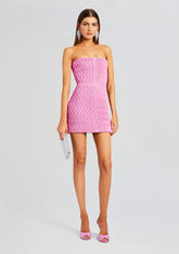 Vianne Embellished Leather Dress