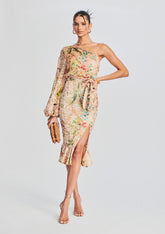 Veena Long Dress