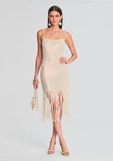 Nalu Sequin Fringe Crochet Dress