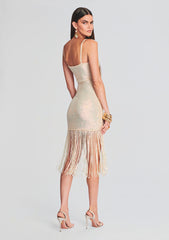 Nalu Sequin Fringe Crochet Dress