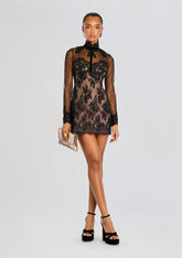 Faylin Lace Dress