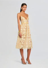 Eulalia Sequin Lace Dress