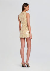 Elainy Sequin Lace Dress