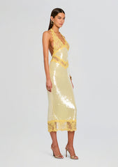 Vicky Sequin Lace Dress