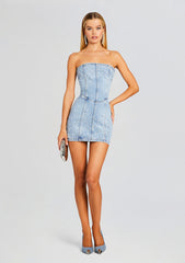 Kamna Embellished Denim Dress