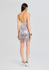 Alva Embellished Fringe Dress