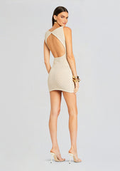 Bregan Metallic Crochet Dress