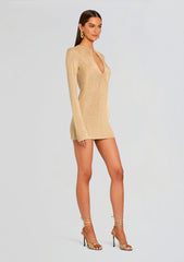 Emeri Metallic Knit Mini Dress
