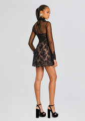Faylin Lace Dress